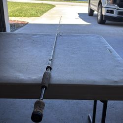 Berkley spinning Rod