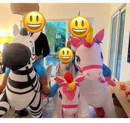 Costume for family