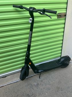 Bird Electric Scooter