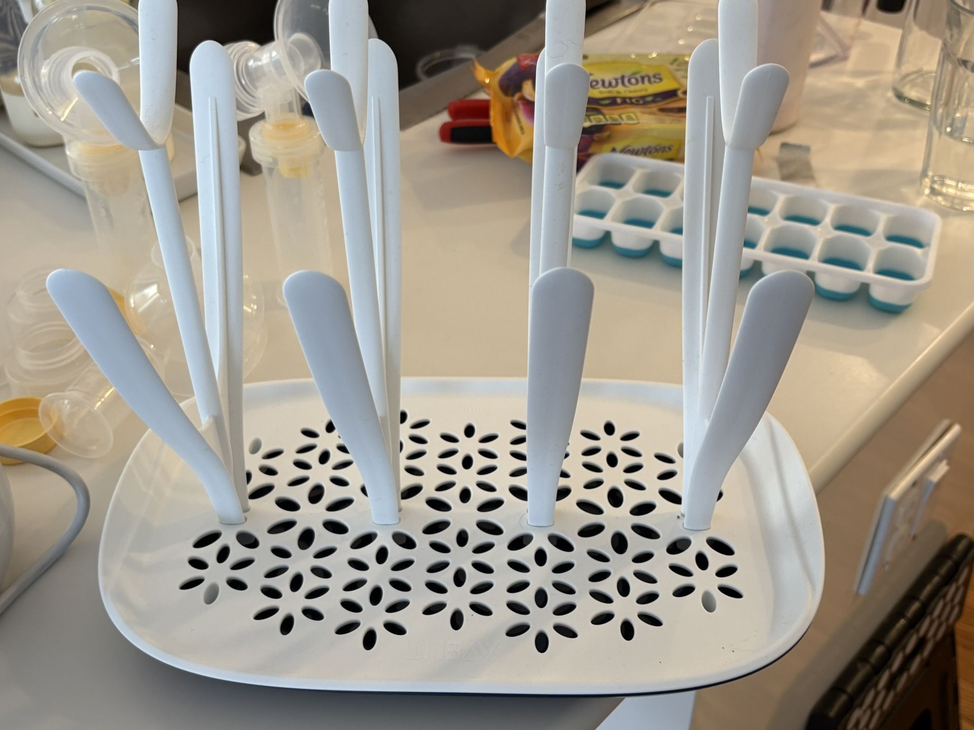 Bottle Drying Rack