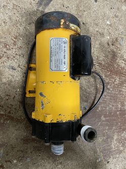 Pan World 250PS pump