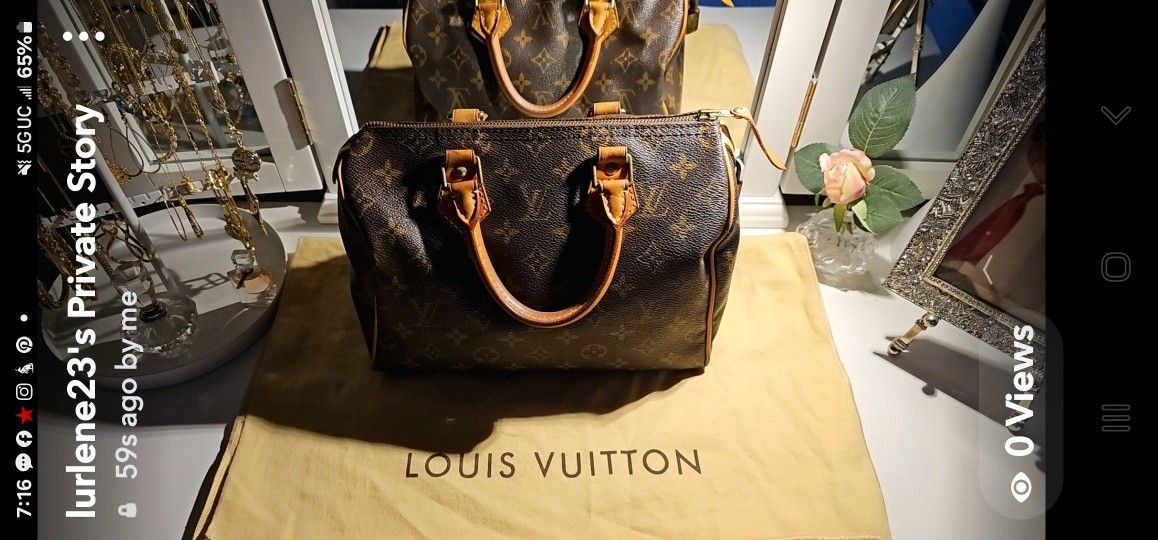 Louis Vuitton Speedy 25 Handbag