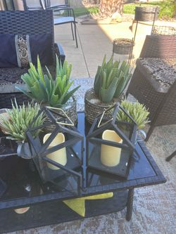Patio outdoor plants
