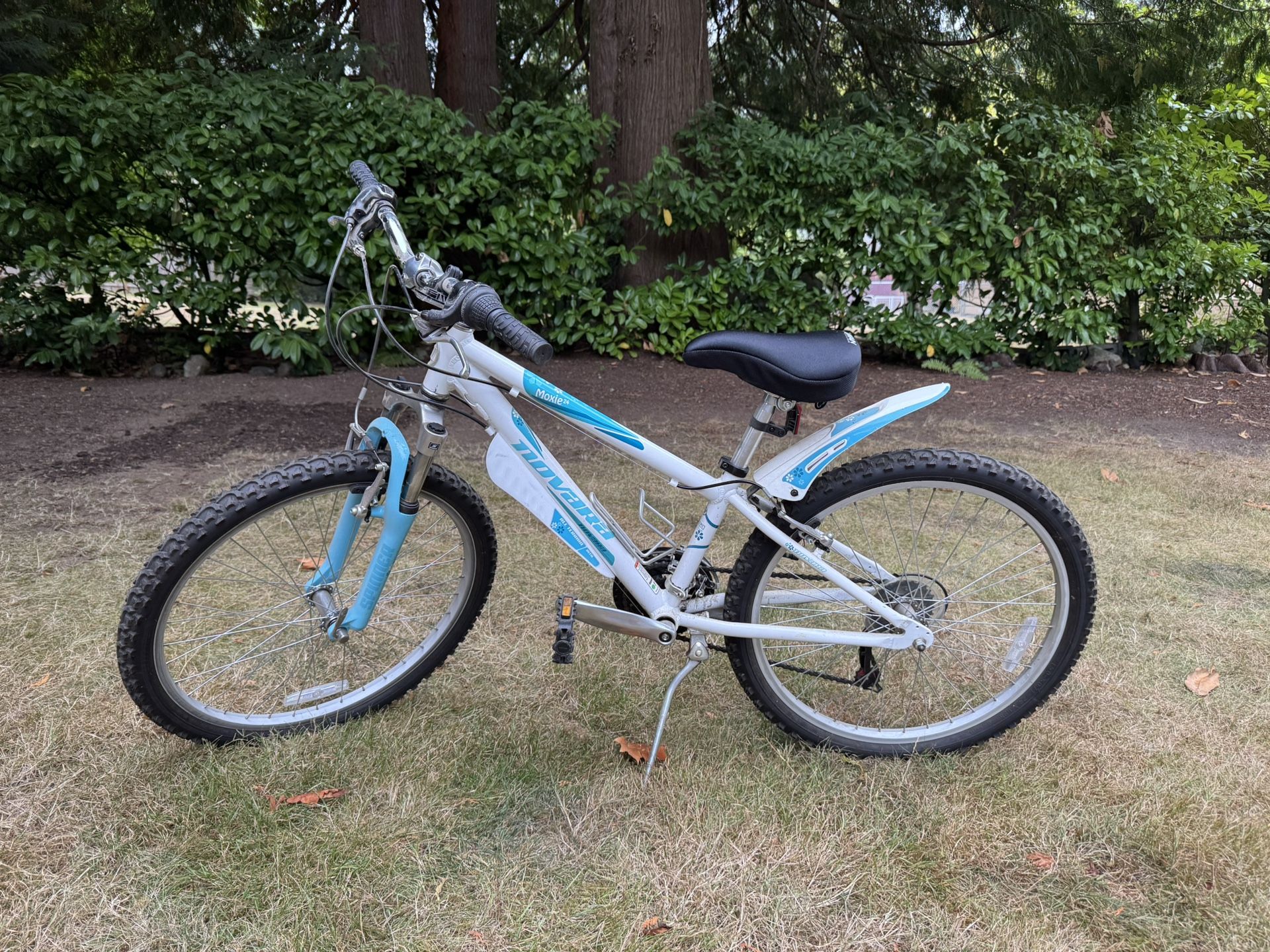 Girl’s Novarra Bicycle (REI)