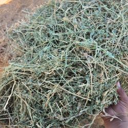 Alfalfa Cattle Hay. 