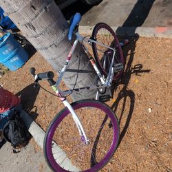 Single Speed Bike