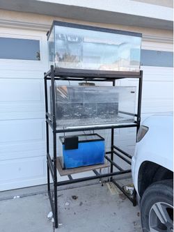 Fish Tanks and Shelf