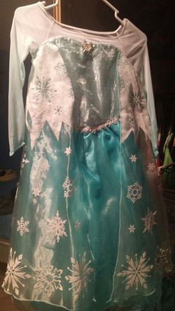 Elsa dress from Disneyland park