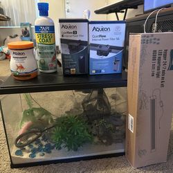 Aquarium and Accesories
