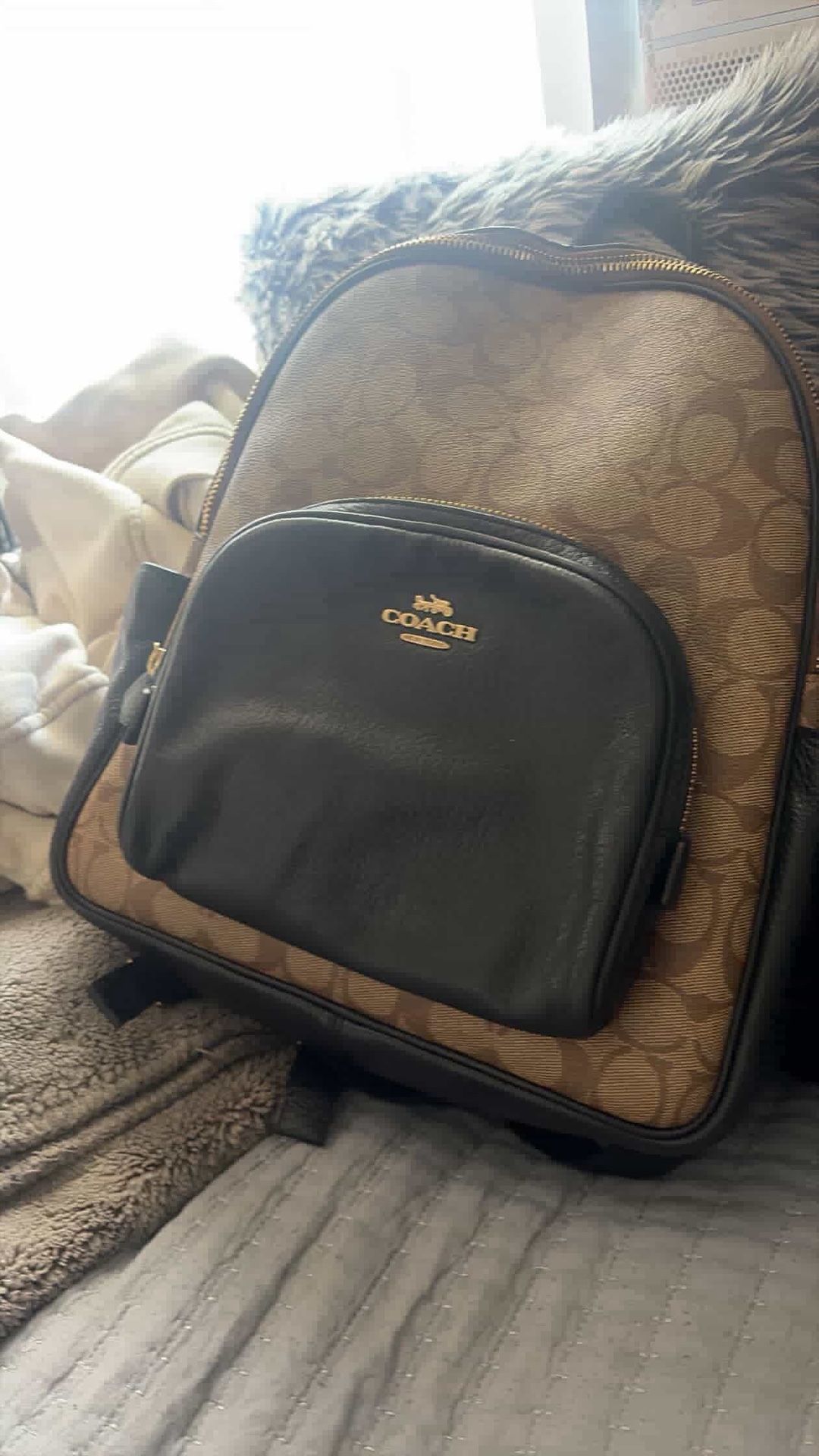110$ If Come Today Coach Backpack Women’s