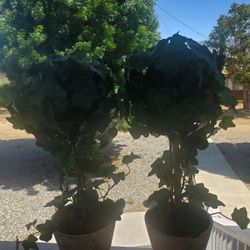2 New Super Cute Artificial Green Plants 🌿both For 40.00