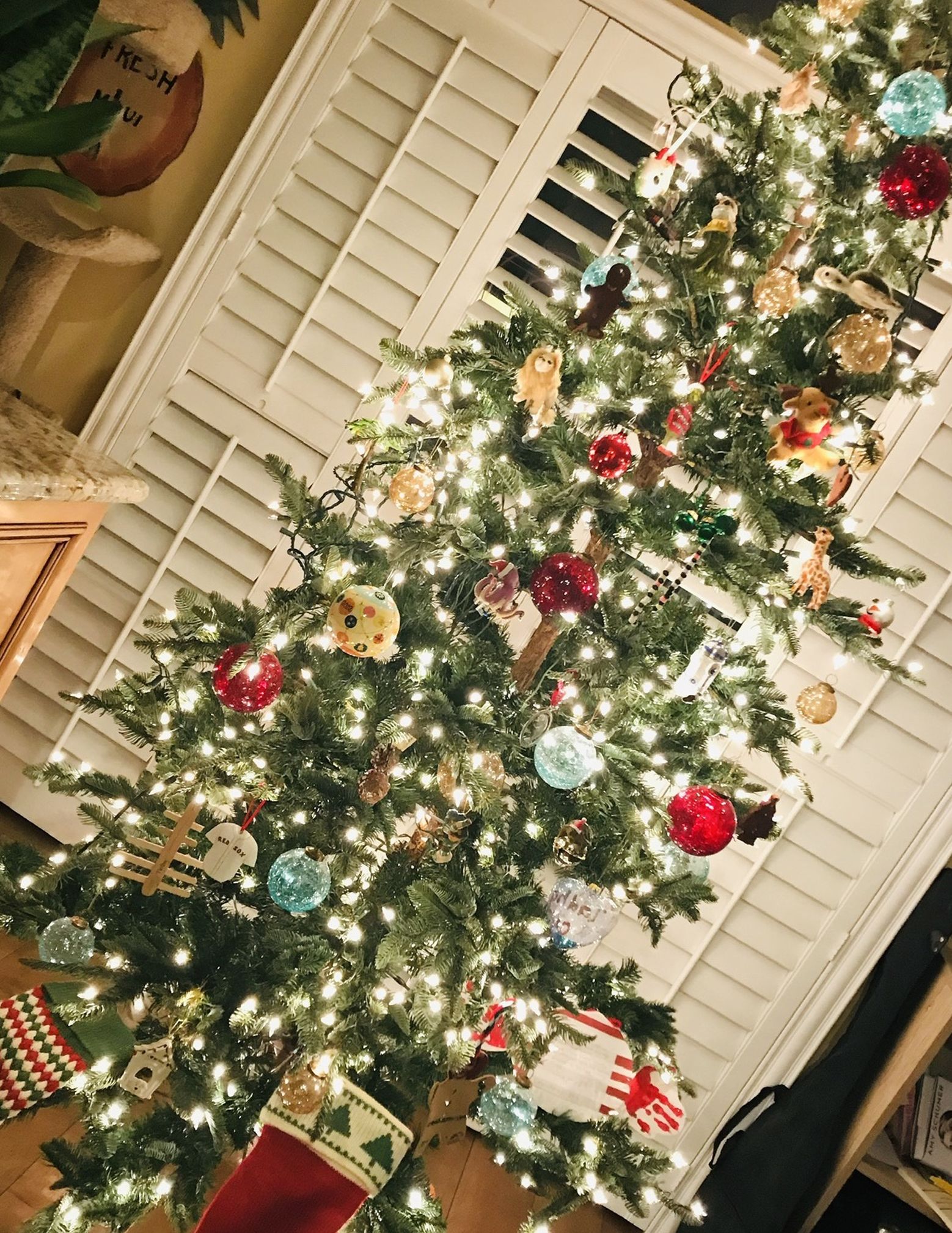 Christmas Tree With lights 9’....free