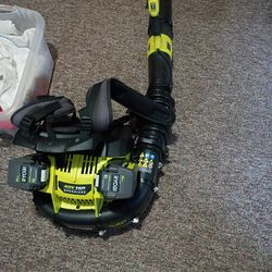 Before you get over others Roby 40 volt backpack blower