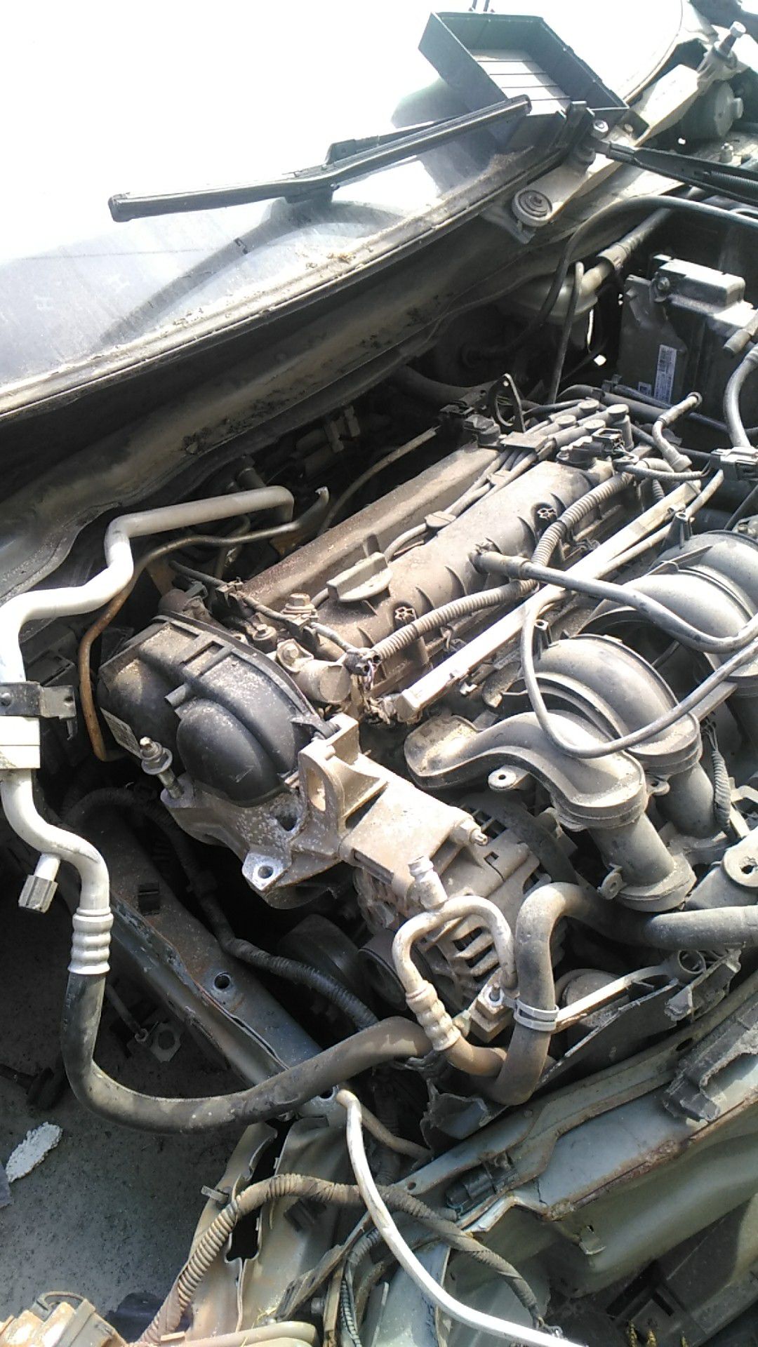 2013 ford Fiesta engine
