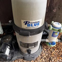 Premium Blue Cartridge Filter With Pump