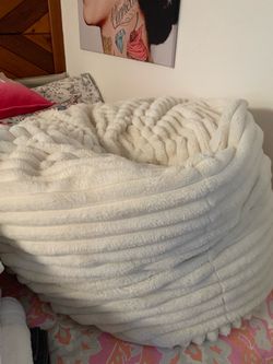 Potty Barn Teen Plush Bean Bag