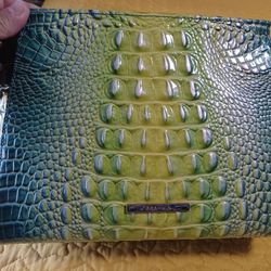 Brahmin Crossbody Bag