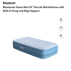 Air mattress twin