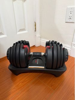 Bowflex Dumbbell (1)