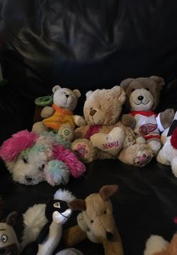 $20 dollars for all