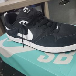 Nike Sb Alleyoop
