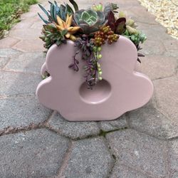 Succulent Arrangement 