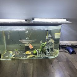 Fish Tank 65 Gallon