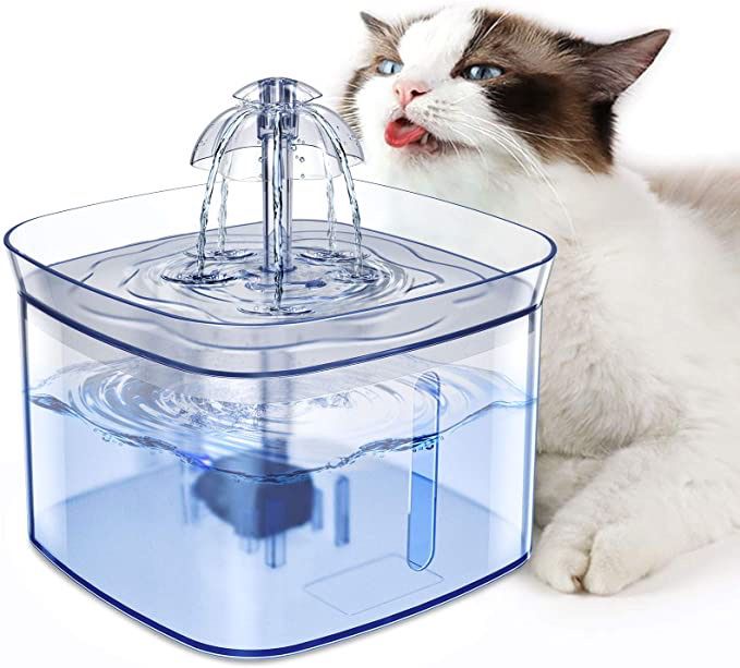 Cat Water Fountain, 