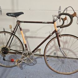 Classic Panasonic Dx-3000 Road Bike 