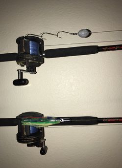 Fishing rod