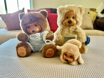 Robert Raikes Bear Bundle 