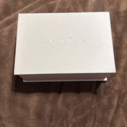 PANDORA CLEANING KIT