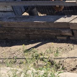 Landscape Railroad Ties
