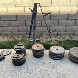 Weights + Tree Weight+ Bar For Weight