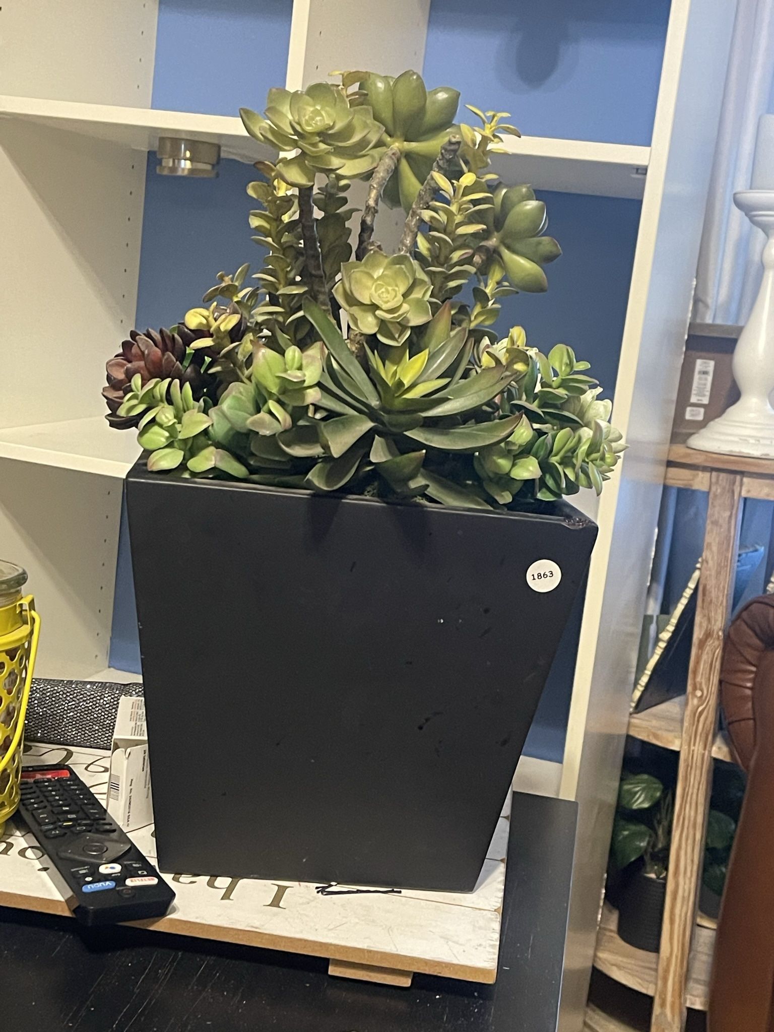 Succulent Fake Plant