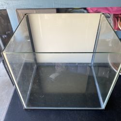 Medium Size Fish Tank