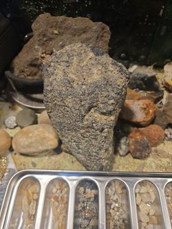 Fusion Crust: Meteorites