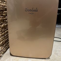 Mini refrigerator