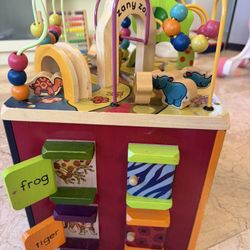 Zany Zoo Activity cube 