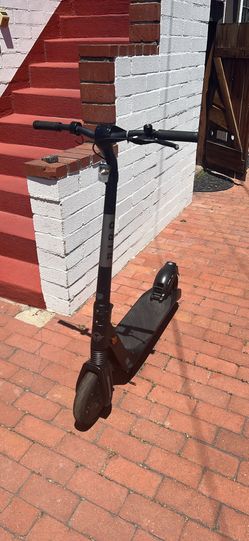 bird flex scooter