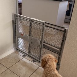 New heavy duty safety gate 