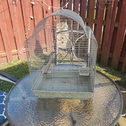 Bird Cage 