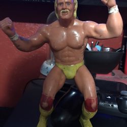 1984 Hulk Hogan LJN 
