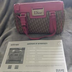 Christian Dior Pink&Brn Trotter Handbag