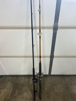 Daiwa Beef Stick / Vertels Yellowstik Fishing Rod And Reals