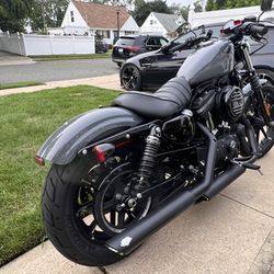 2021 Harley Davidson Iron 883 Sportster