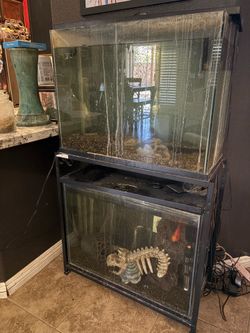 Two fish tanks with stand