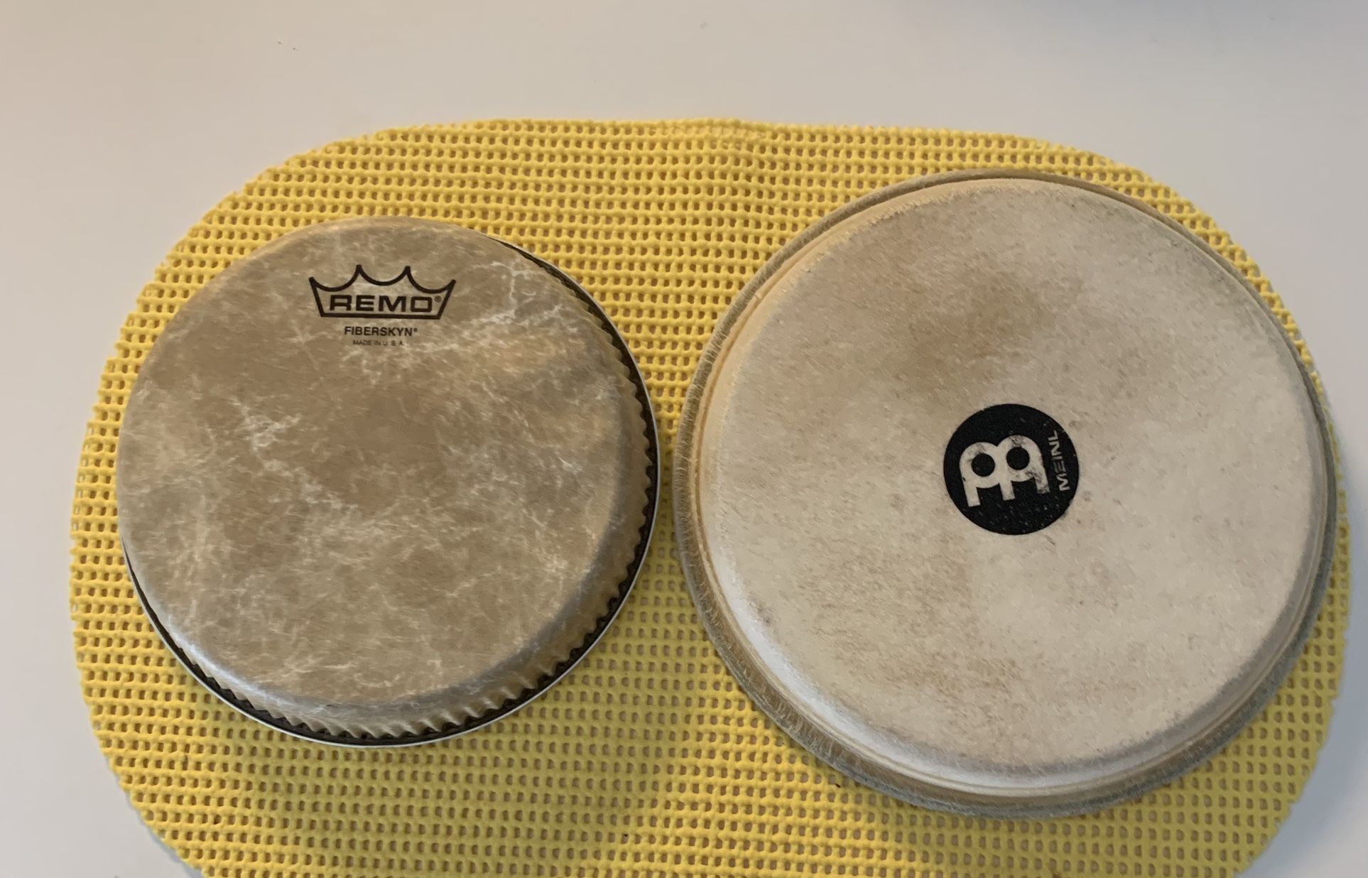 2 Bongo Head