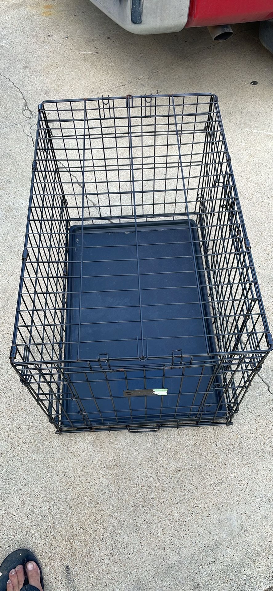 Dog Crate