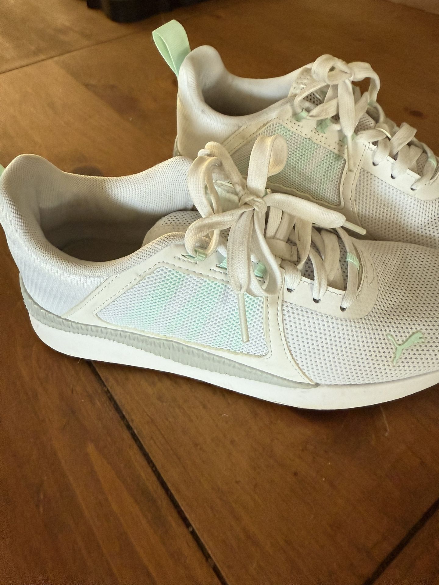 Puma